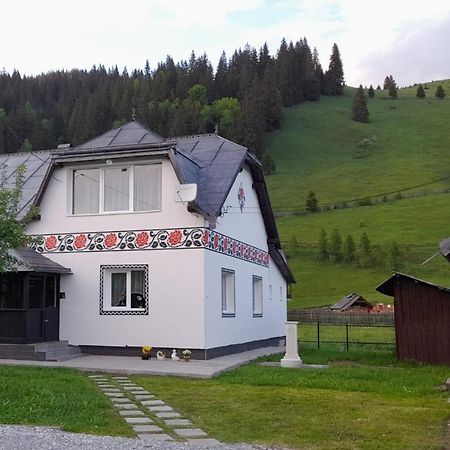 Casa Dumitru Si Elena Ciocanesti Bucovina 外观 照片