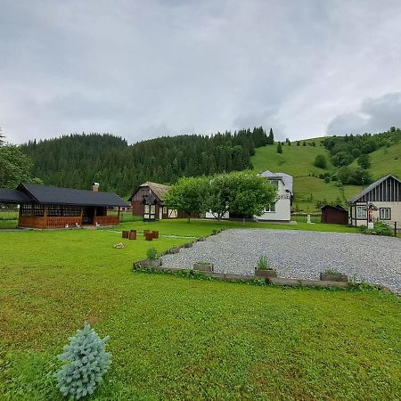 Casa Dumitru Si Elena Ciocanesti Bucovina 外观 照片