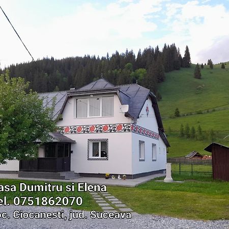 Casa Dumitru Si Elena Ciocanesti Bucovina 客房 照片