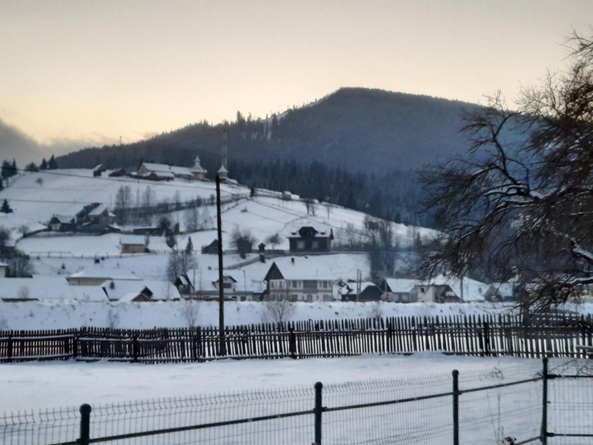 Casa Dumitru Si Elena Ciocanesti Bucovina 外观 照片