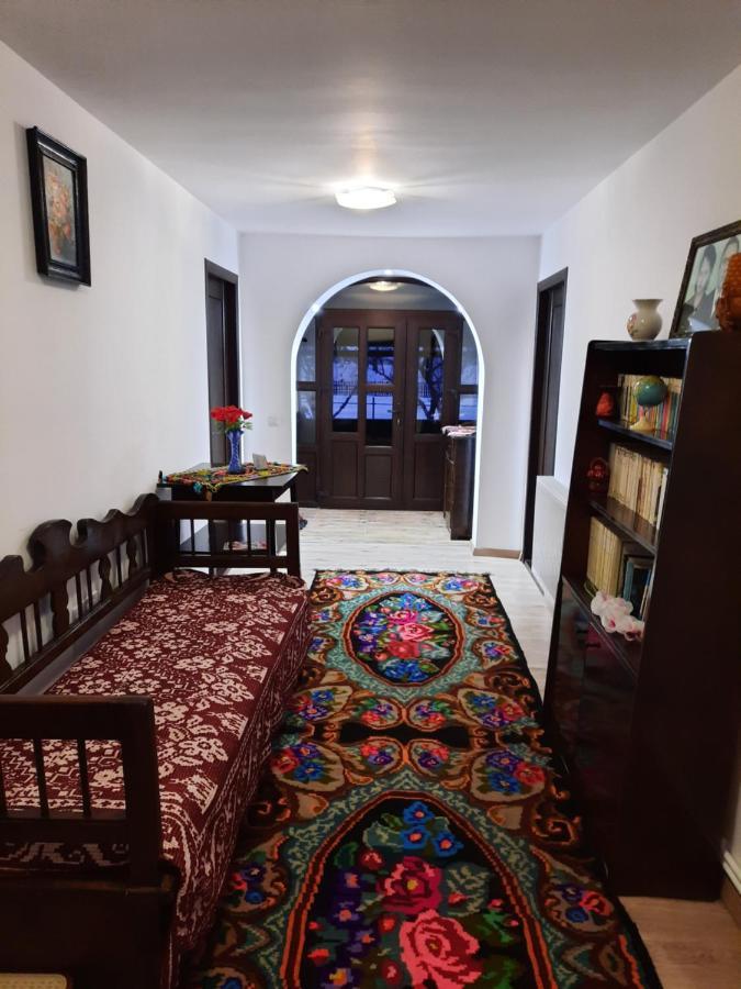 Casa Dumitru Si Elena Ciocanesti Bucovina 外观 照片