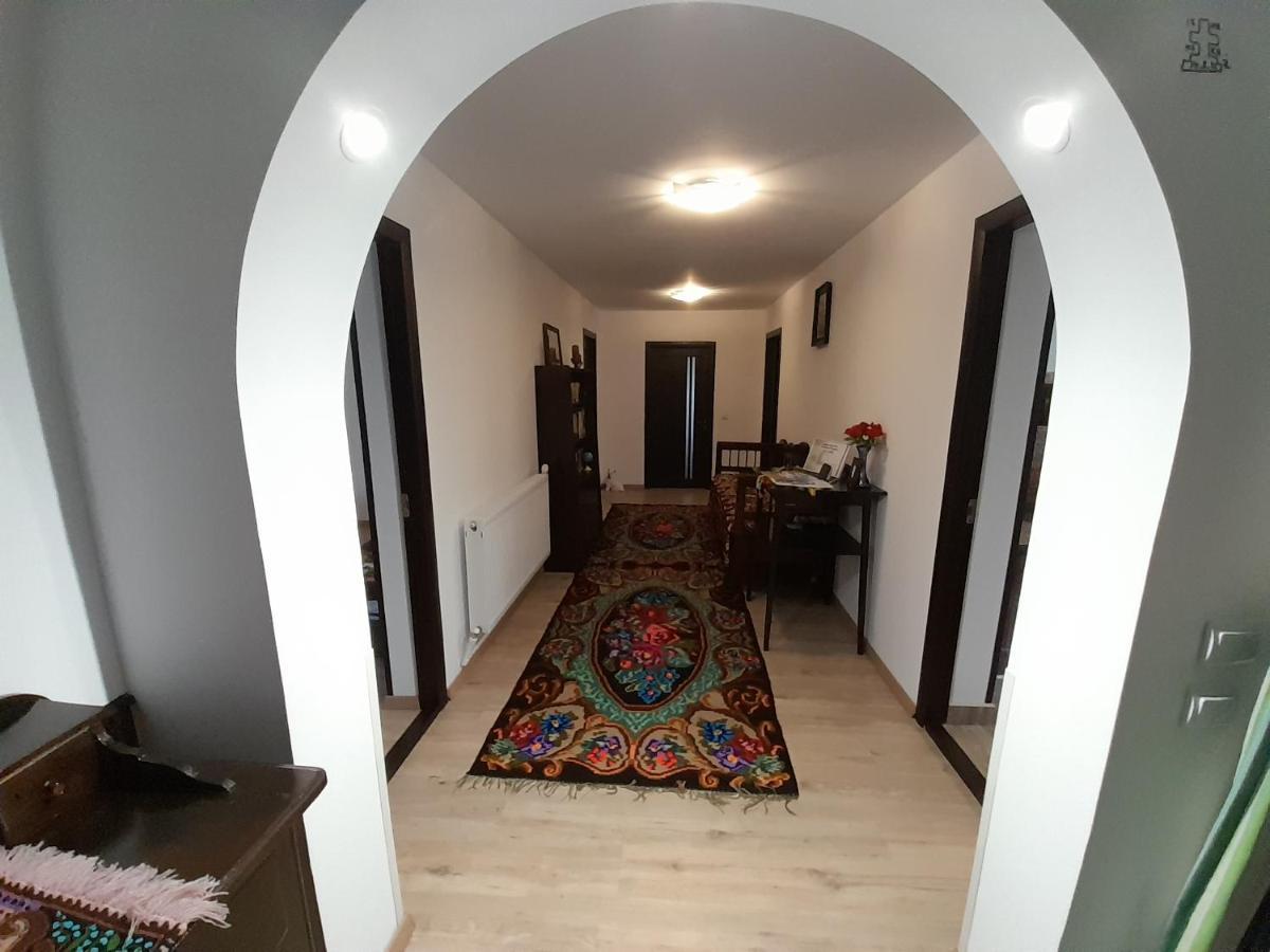 Casa Dumitru Si Elena Ciocanesti Bucovina 外观 照片