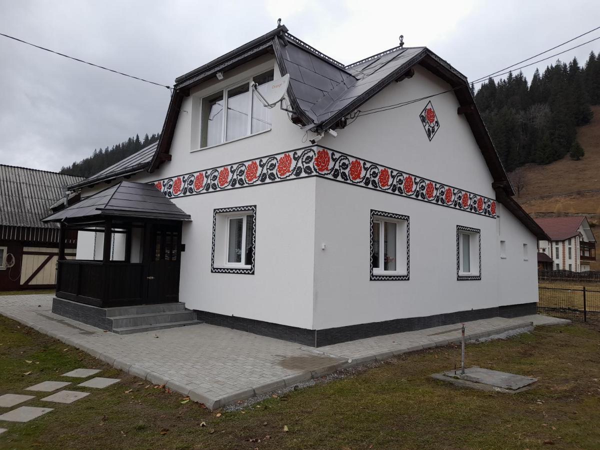 Casa Dumitru Si Elena Ciocanesti Bucovina 外观 照片