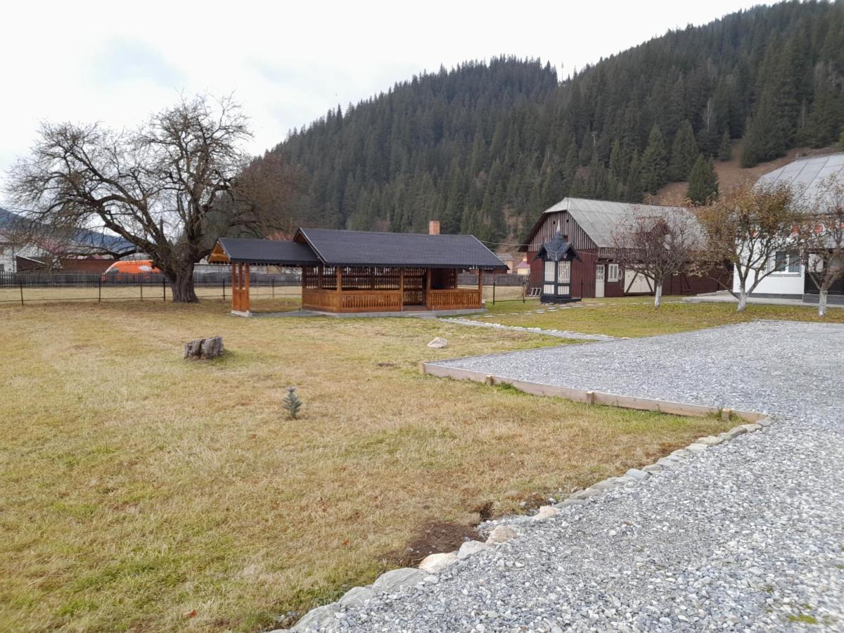 Casa Dumitru Si Elena Ciocanesti Bucovina 外观 照片