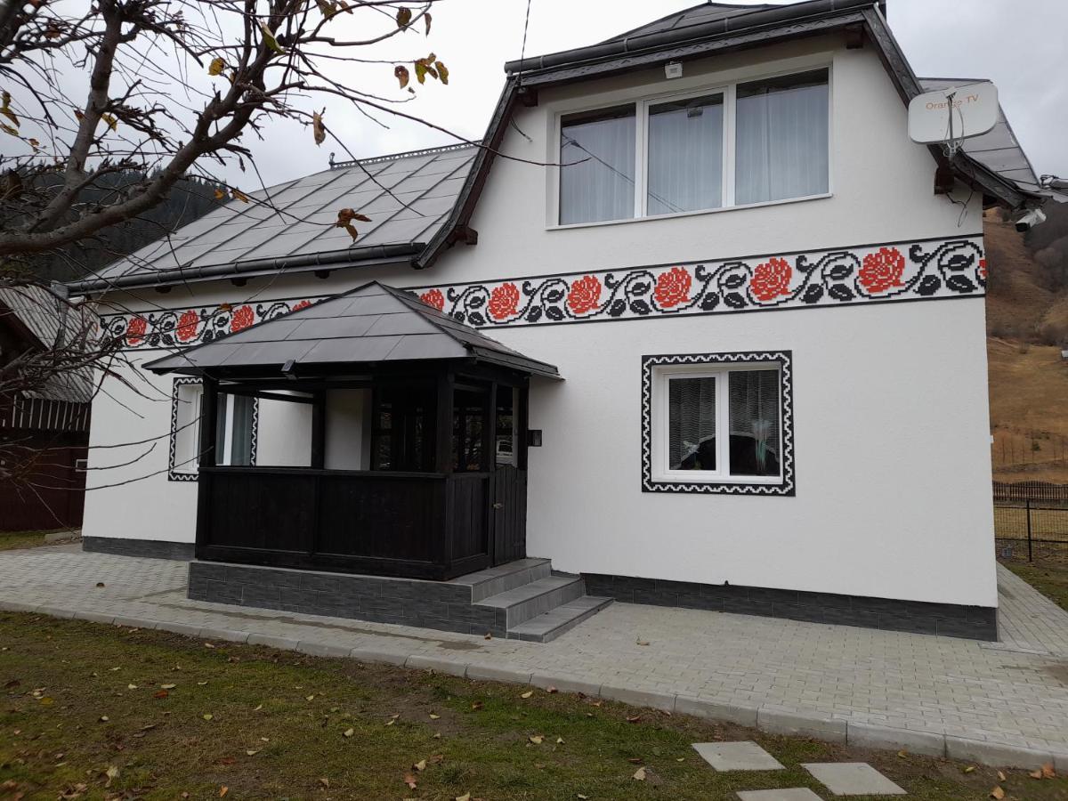 Casa Dumitru Si Elena Ciocanesti Bucovina 外观 照片
