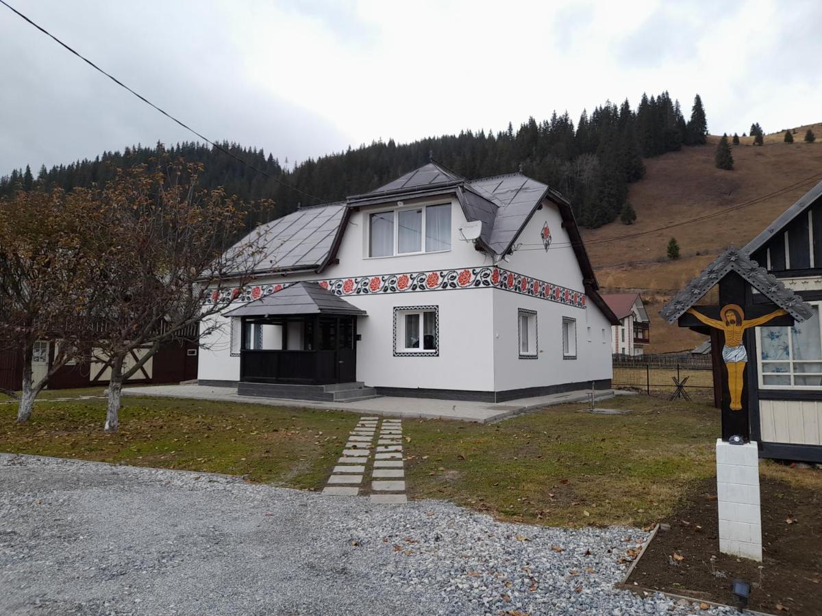 Casa Dumitru Si Elena Ciocanesti Bucovina 外观 照片