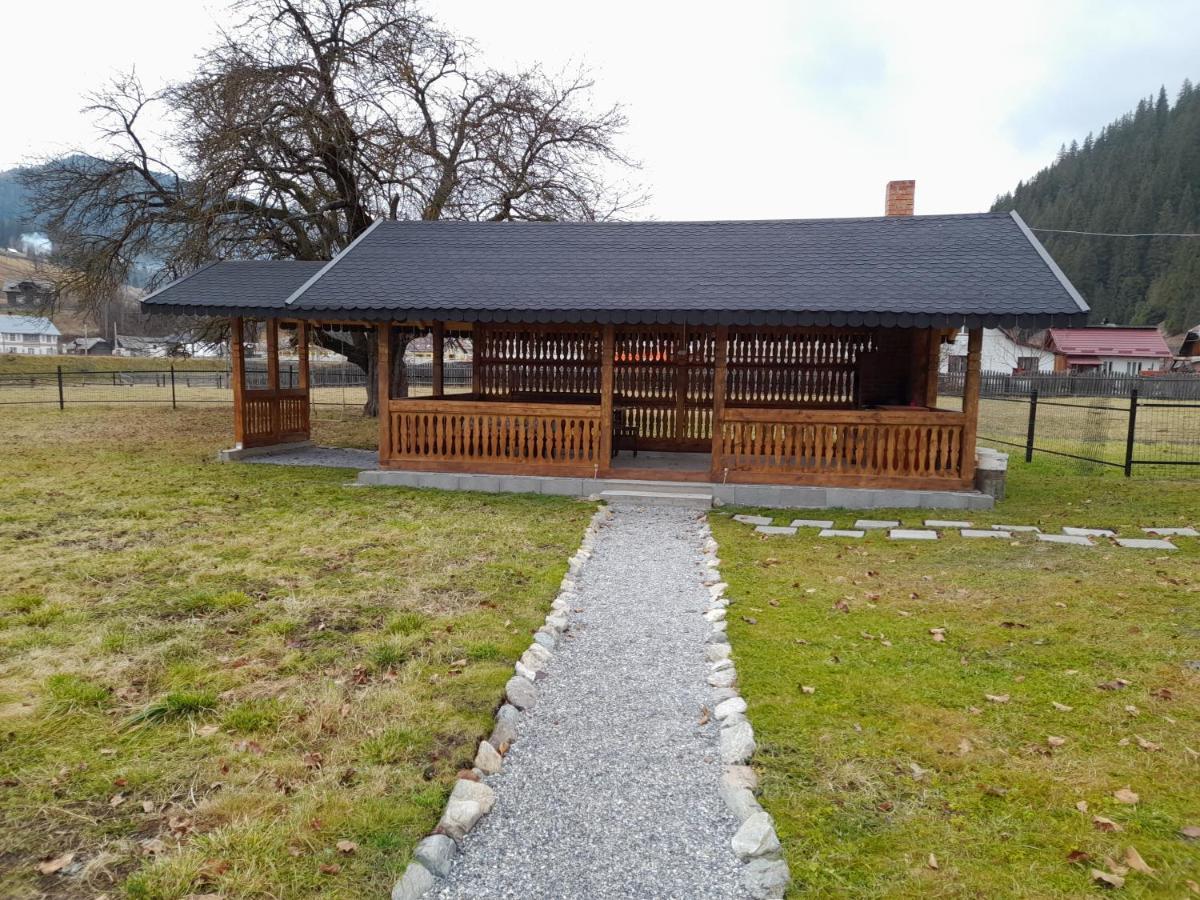 Casa Dumitru Si Elena Ciocanesti Bucovina 外观 照片