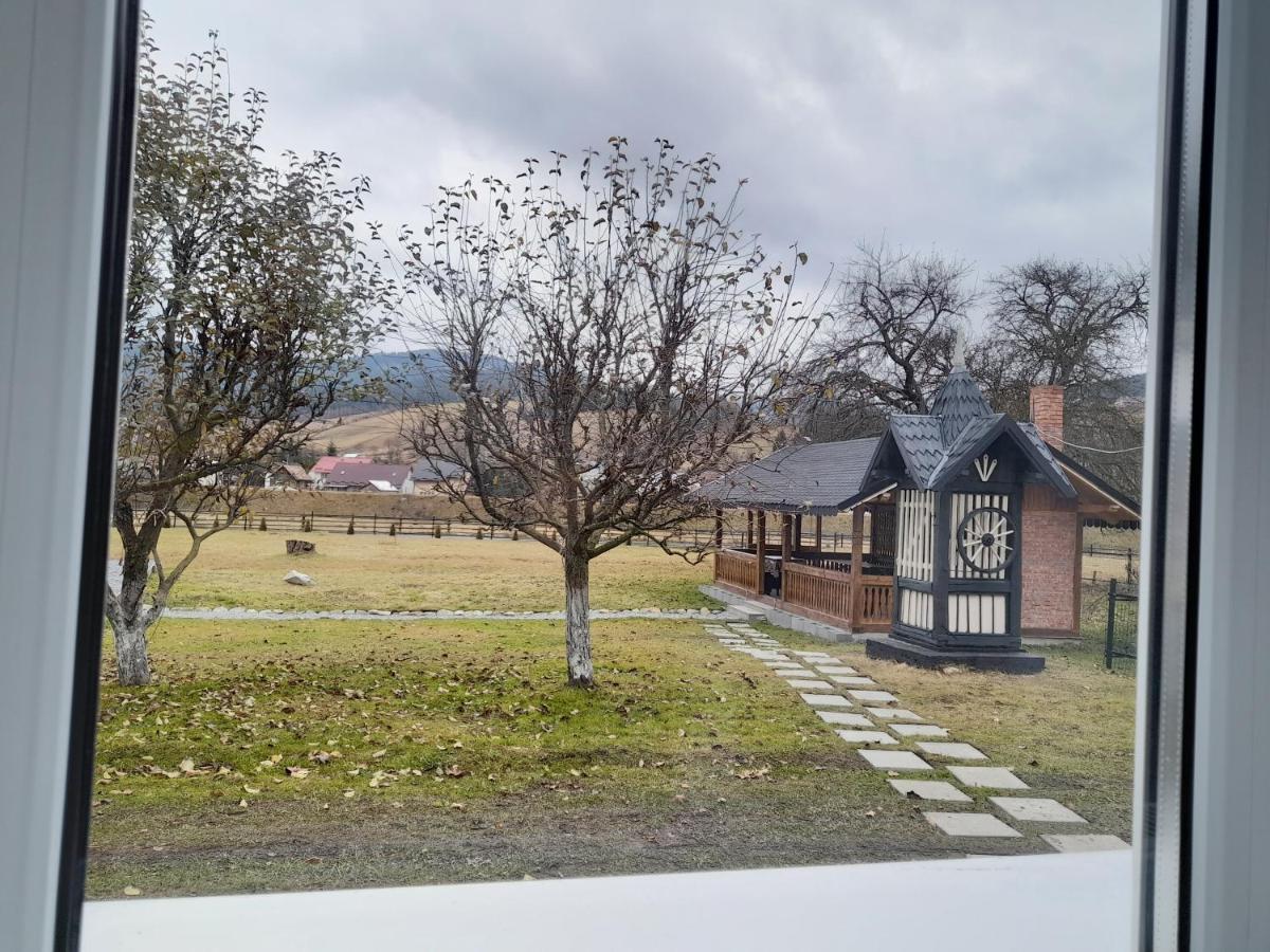 Casa Dumitru Si Elena Ciocanesti Bucovina 外观 照片