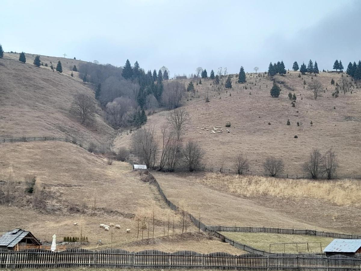 Casa Dumitru Si Elena Ciocanesti Bucovina 外观 照片
