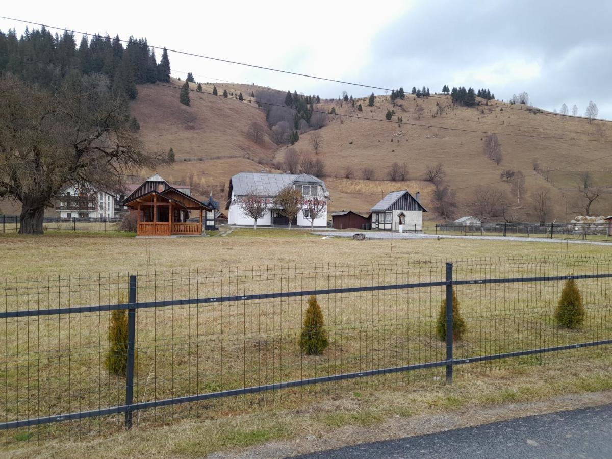 Casa Dumitru Si Elena Ciocanesti Bucovina 外观 照片