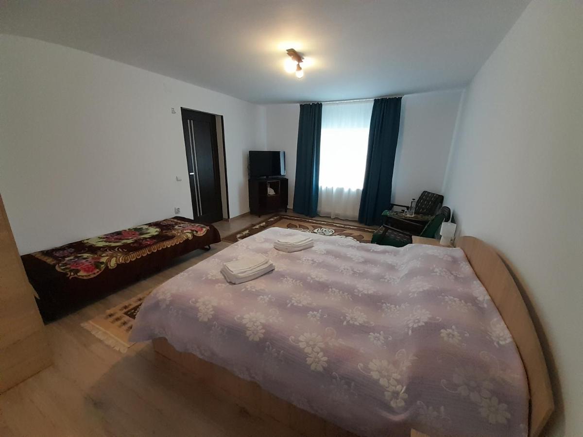 Casa Dumitru Si Elena Ciocanesti Bucovina 外观 照片