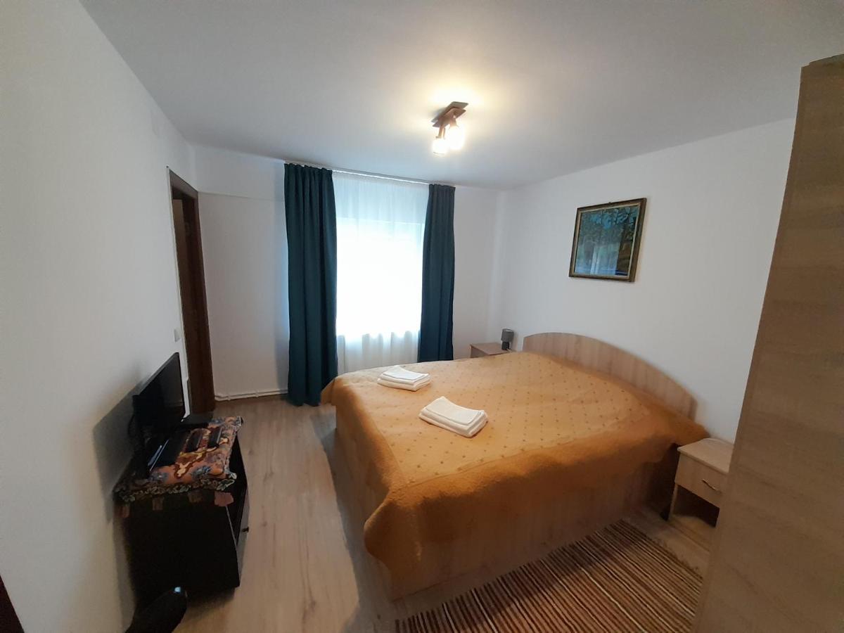 Casa Dumitru Si Elena Ciocanesti Bucovina 外观 照片