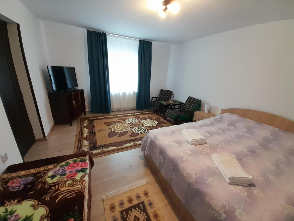 Casa Dumitru Si Elena Ciocanesti Bucovina 外观 照片