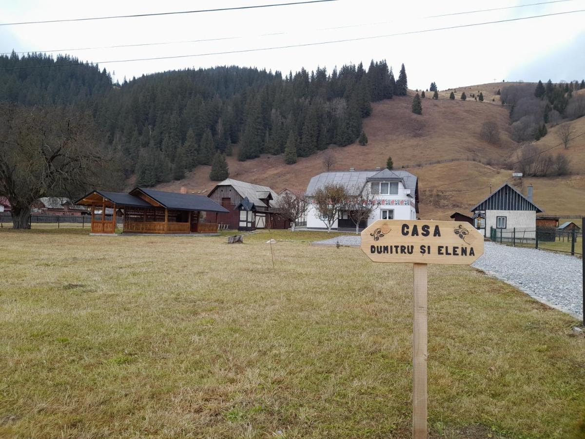 Casa Dumitru Si Elena Ciocanesti Bucovina 外观 照片
