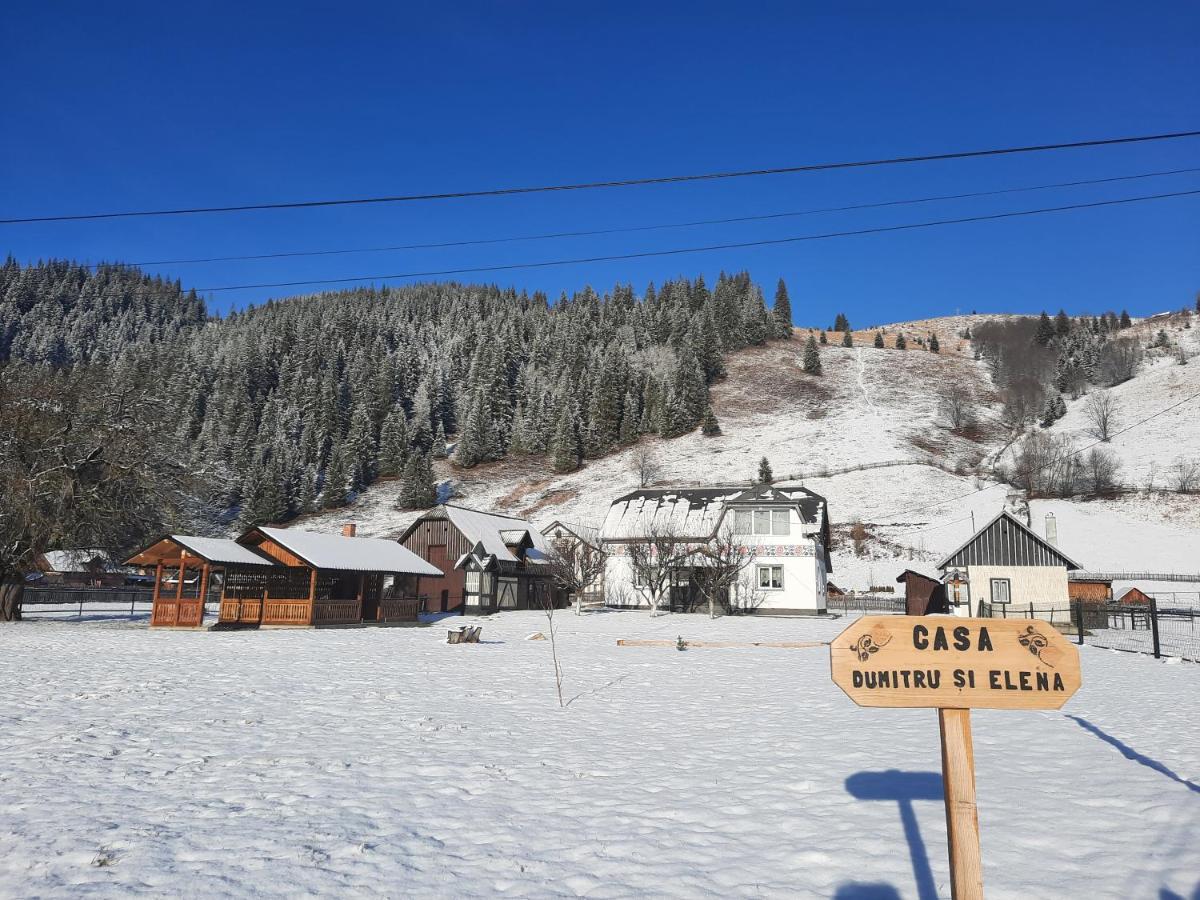 Casa Dumitru Si Elena Ciocanesti Bucovina 外观 照片