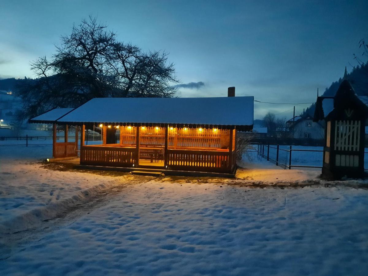 Casa Dumitru Si Elena Ciocanesti Bucovina 外观 照片