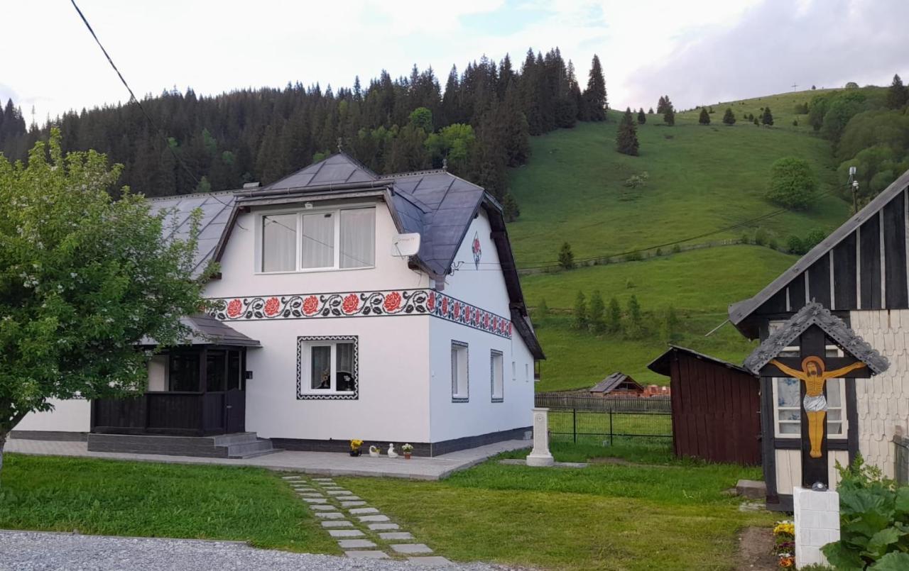 Casa Dumitru Si Elena Ciocanesti Bucovina 外观 照片