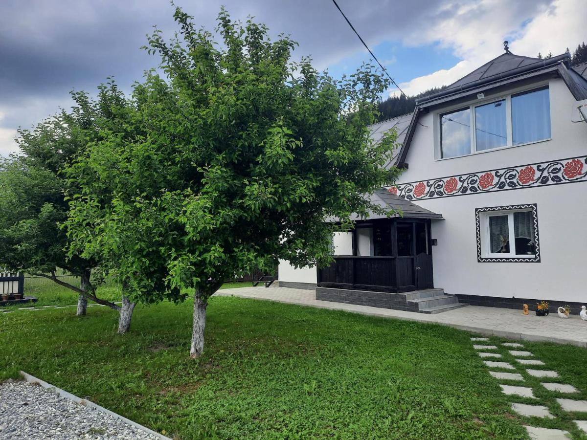 Casa Dumitru Si Elena Ciocanesti Bucovina 外观 照片