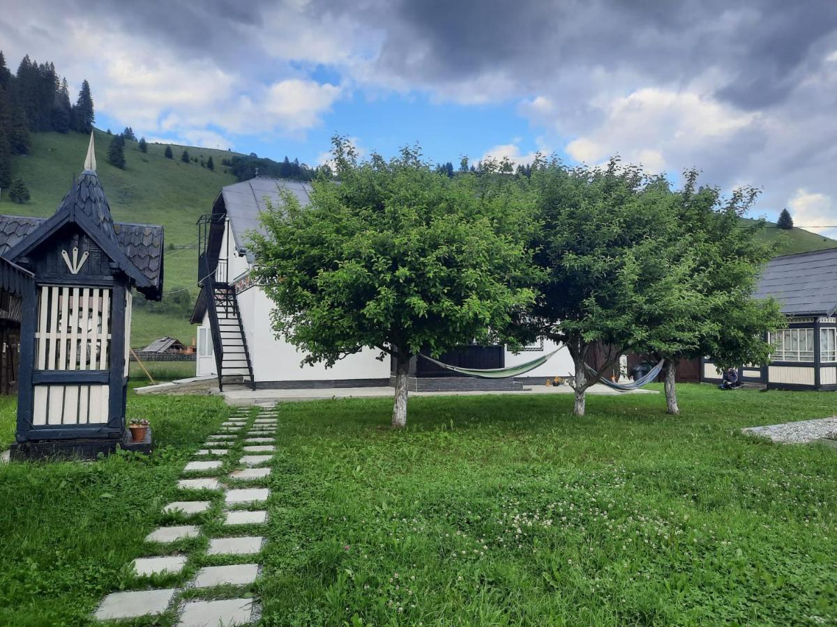 Casa Dumitru Si Elena Ciocanesti Bucovina 外观 照片