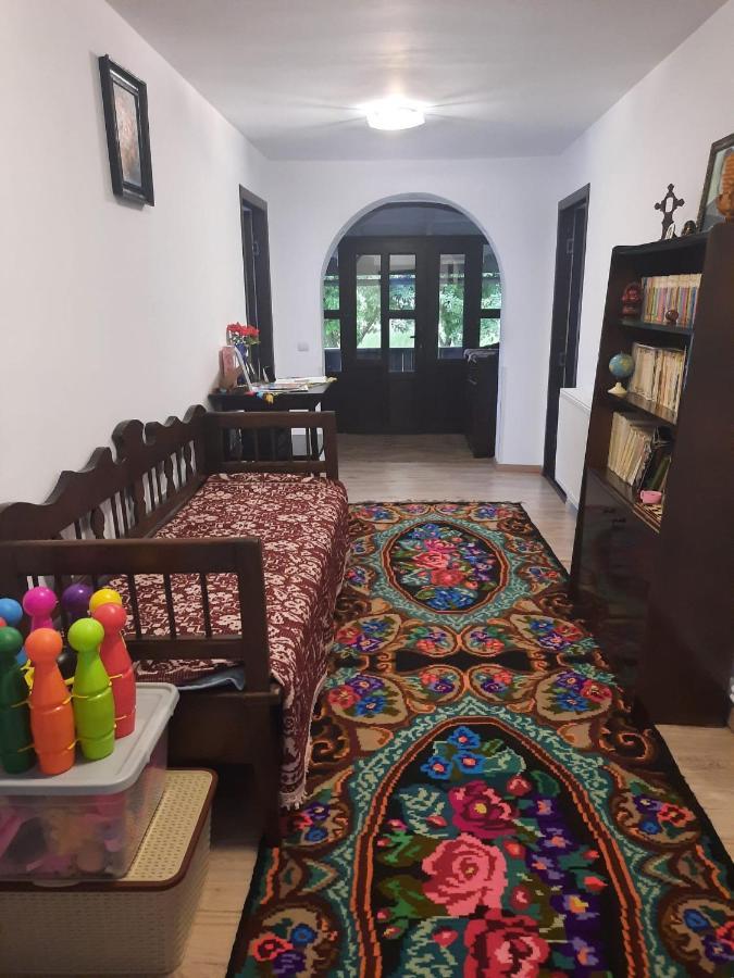 Casa Dumitru Si Elena Ciocanesti Bucovina 外观 照片