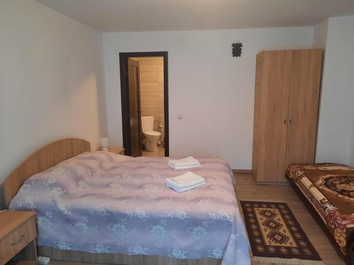 Casa Dumitru Si Elena Ciocanesti Bucovina 外观 照片