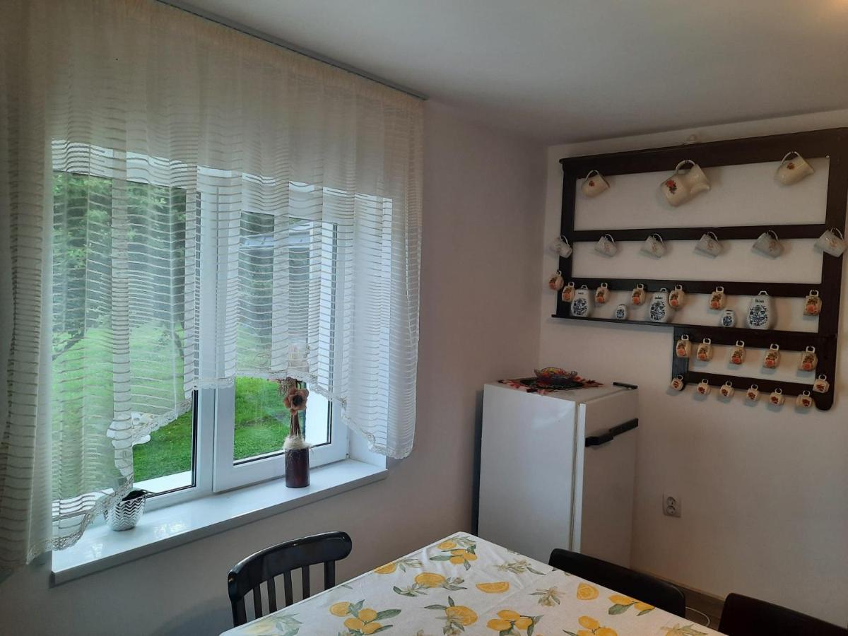 Casa Dumitru Si Elena Ciocanesti Bucovina 外观 照片
