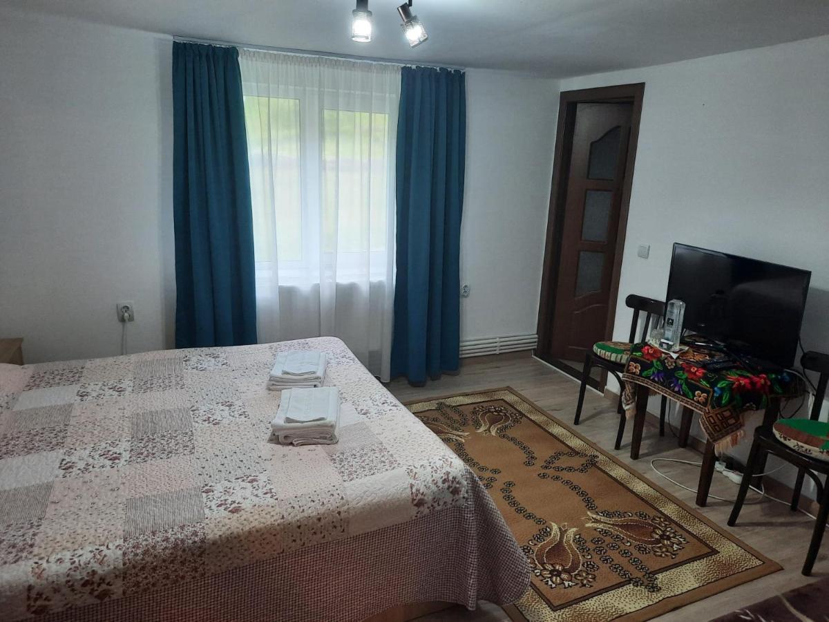 Casa Dumitru Si Elena Ciocanesti Bucovina 外观 照片