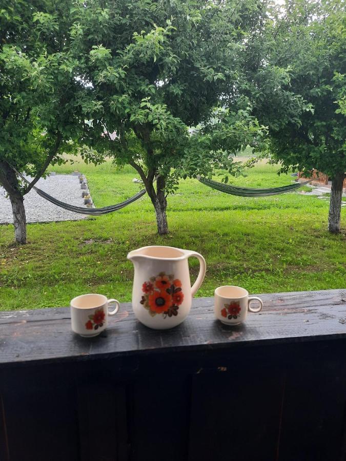 Casa Dumitru Si Elena Ciocanesti Bucovina 外观 照片