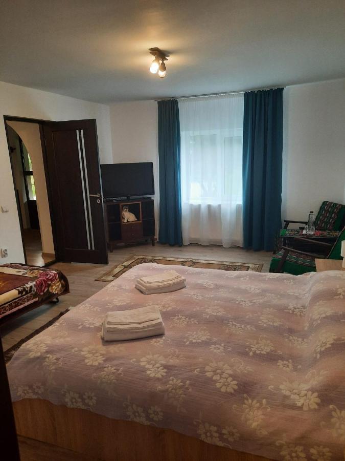 Casa Dumitru Si Elena Ciocanesti Bucovina 外观 照片