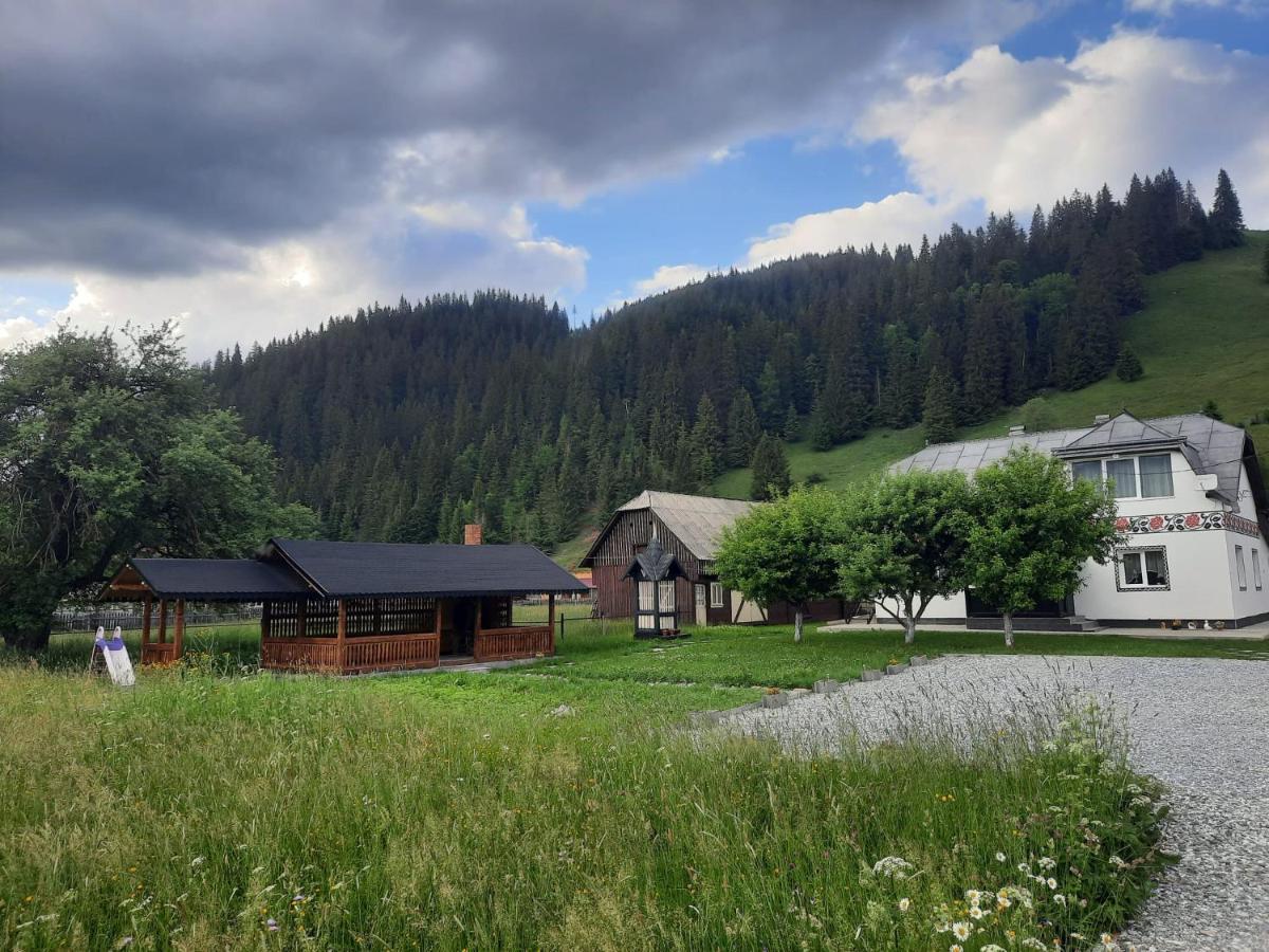 Casa Dumitru Si Elena Ciocanesti Bucovina 外观 照片