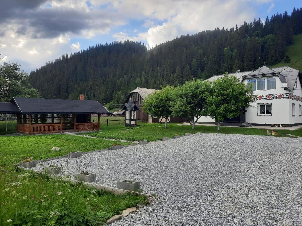 Casa Dumitru Si Elena Ciocanesti Bucovina 外观 照片
