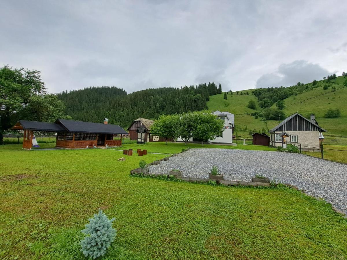Casa Dumitru Si Elena Ciocanesti Bucovina 外观 照片
