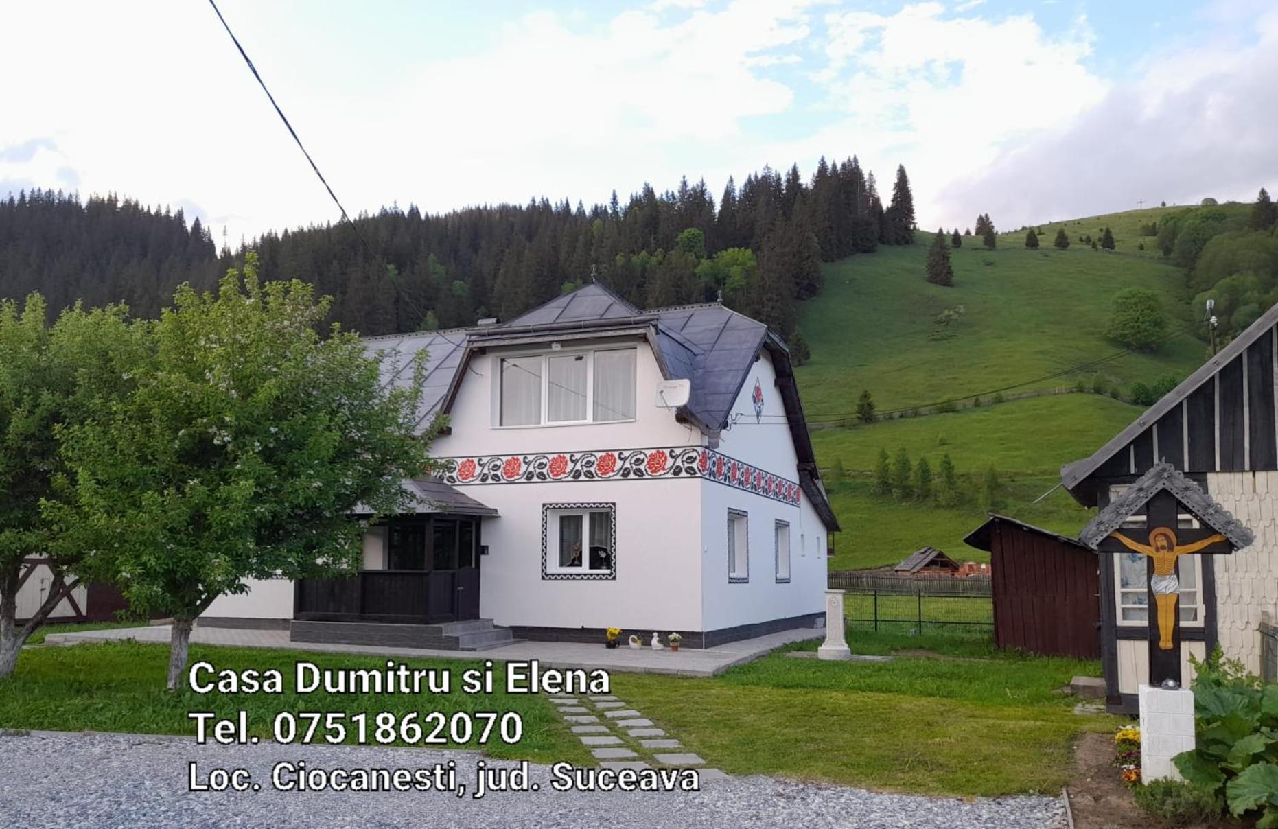 Casa Dumitru Si Elena Ciocanesti Bucovina 客房 照片